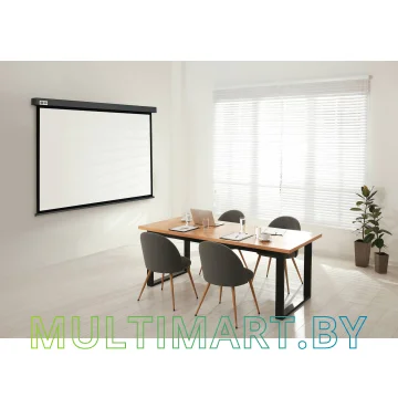 Проекционный экран CACTUS Wallscreen CS-PSW-180X180-SG картинка 3